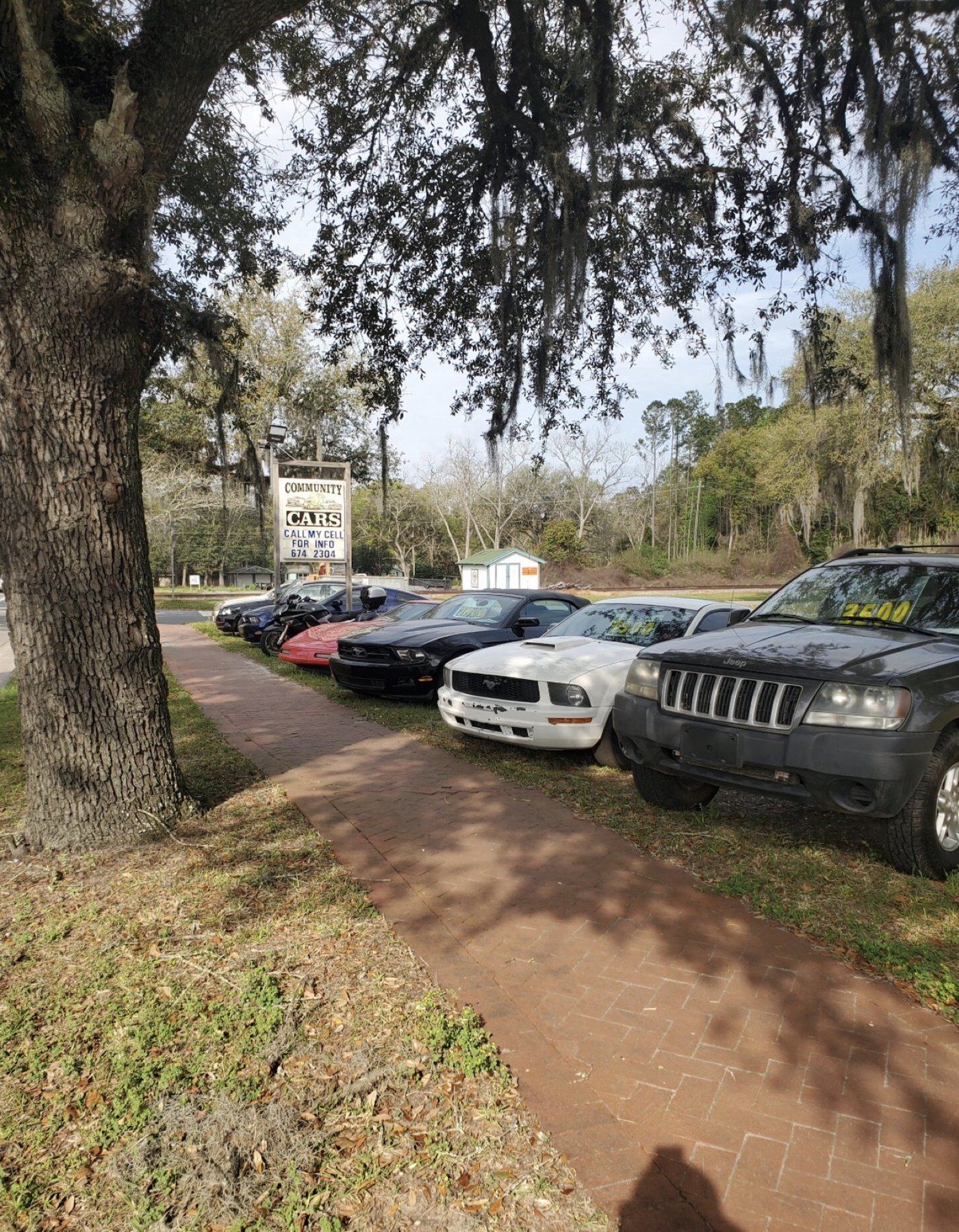 Looking down the lot